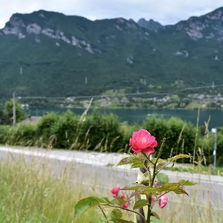 Terrazza Sul Lago Διαμέρισμα Crone