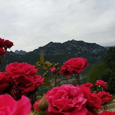 Terrazza Sul Lago Appartement Crone