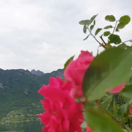 Terrazza Sul Lago * Crone