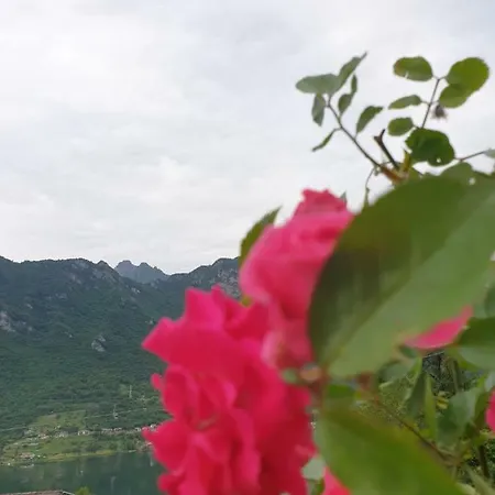 Terrazza Sul Lago * Crone