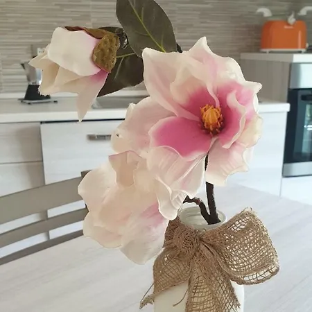 Terrazza Sul Lago Appartement